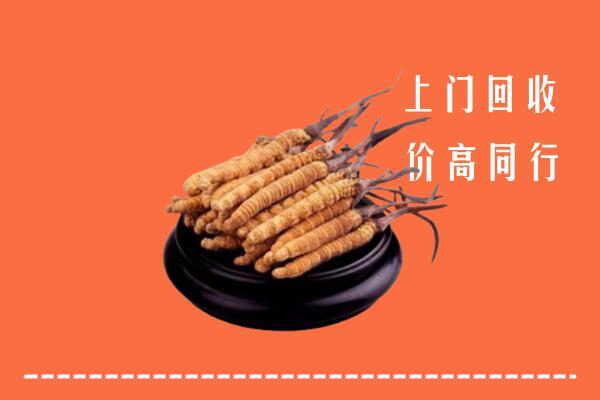 高价求购：玛沁县回收散虫草