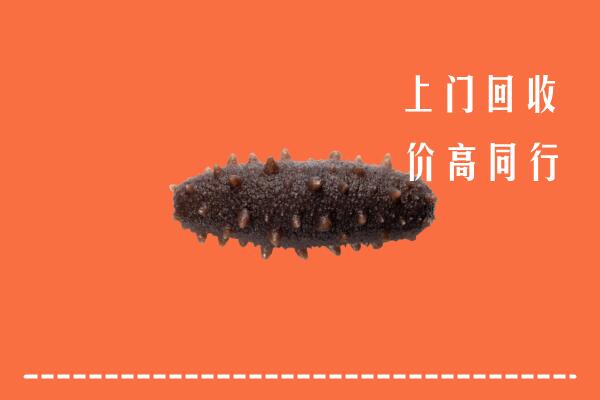 高价求购：玛沁县回收海参